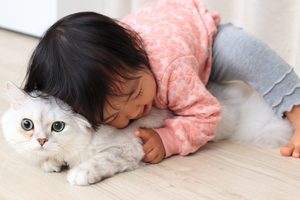 芸能事務所とプロダクションは何が違う？赤ちゃんモデルの所属先の仕組み